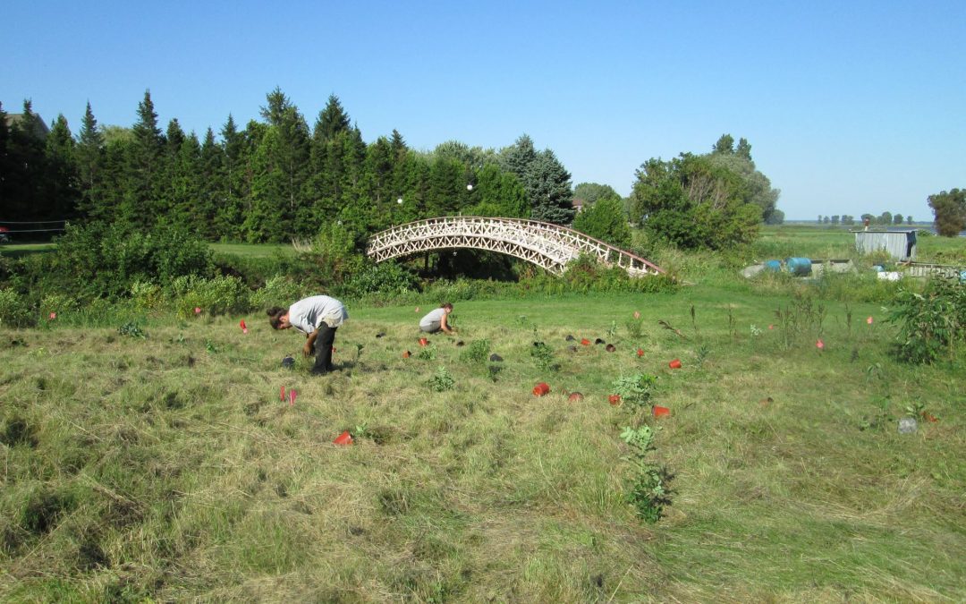 Aménagement de la presqu&rsquo;ile de Lavaltrie (2015)
