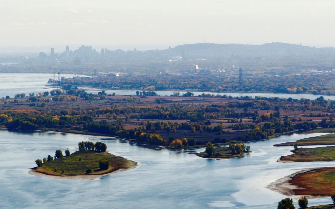 Comité permanent de suivi des eaux usées de Montréal