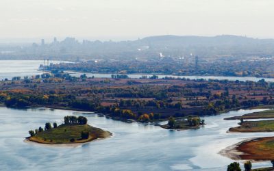 Comité permanent de suivi des eaux usées de Montréal
