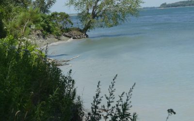 Formulaire d&rsquo;abonnement à l’infolettre du Comité ZIP des Seigneuries