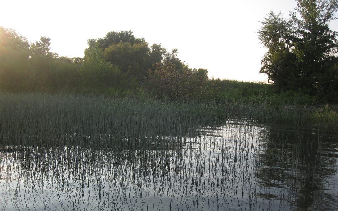 Caractérisation des berges de l&rsquo;Île Bouchard