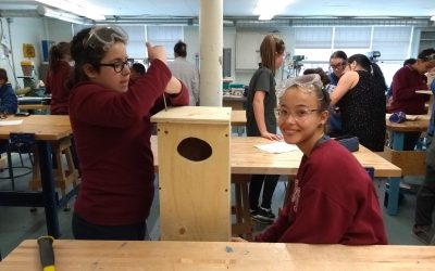 Aménagement pour la faune aviaire en milieu agricole: installation de nichoirs à l’île Bouchard
