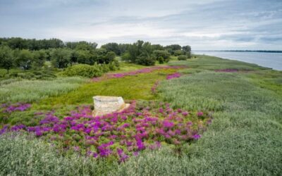 Assemblée générale annuelle 2021-22