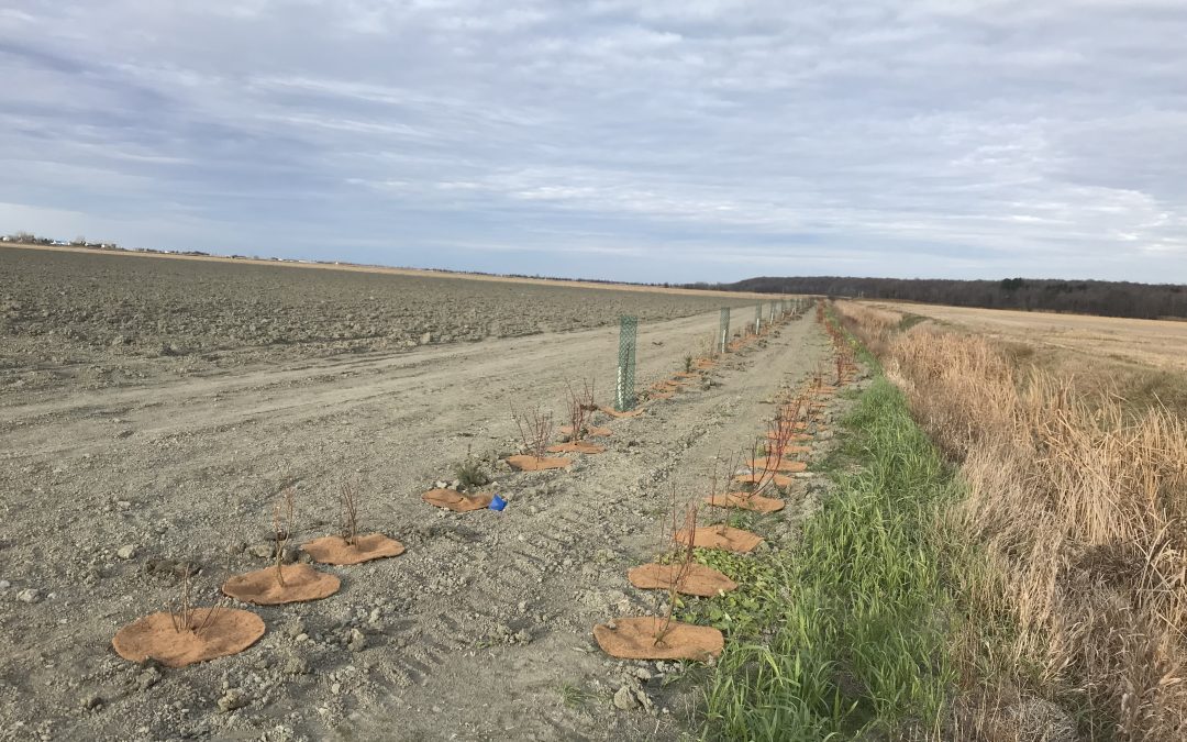 Lutte contre la pollution diffuse en milieu agricole à Varennes