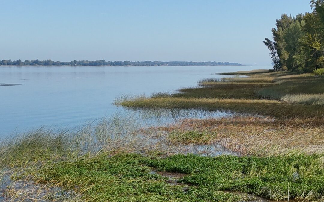 L&rsquo;AGA 2025 arrive à grand pas!