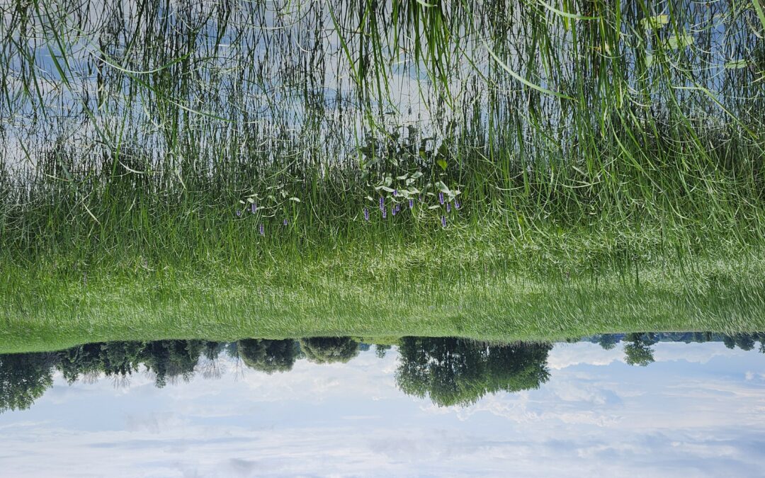 Exploration de l’archipel des îles de Contrecœur