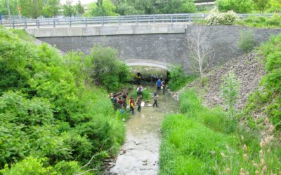 Observer pour mieux protéger : les jeunes à l’œuvre dans J’adopte un cours d’eau