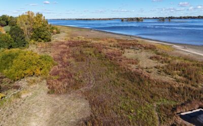 Travaux de restauration à l’île Lebel : Bilan de saison 2025